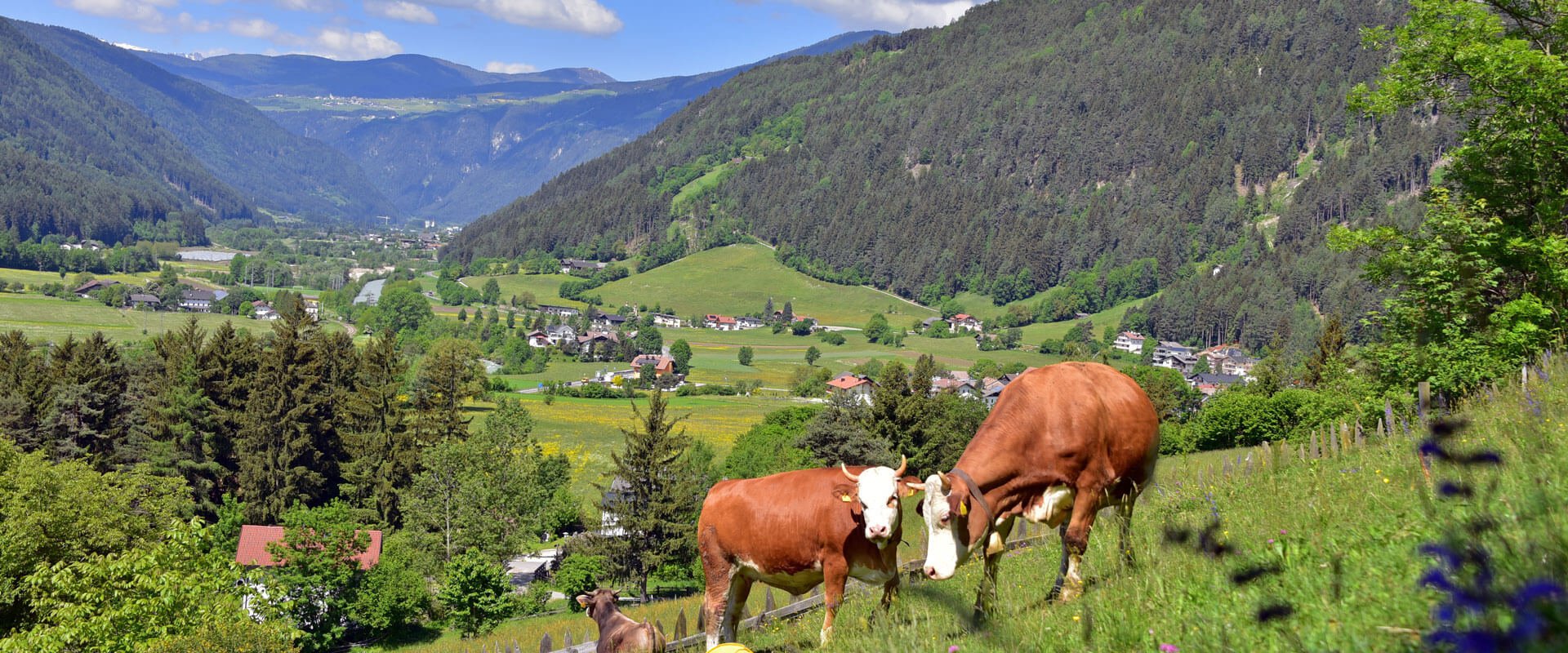 kiens-kronplatz-suedtirol