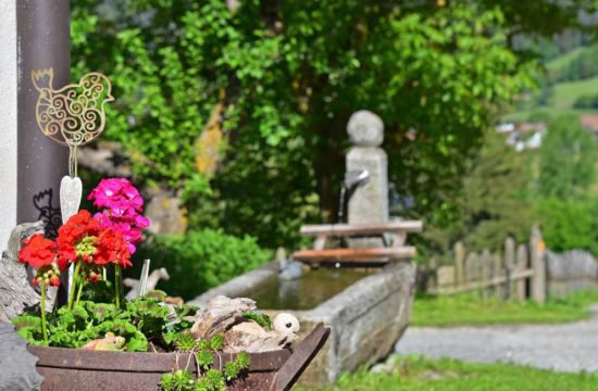 rasteinerhof-san-sigismondo-chienes11