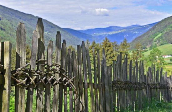 summer-holidays-in-the-mountains-san-sigismondo-chienes (5)