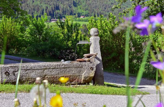 Urlaub auf dem Bauernhof im Pustertal 1