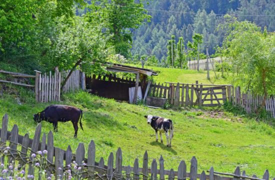 Urlaub auf dem Bauernhof im Pustertal 10