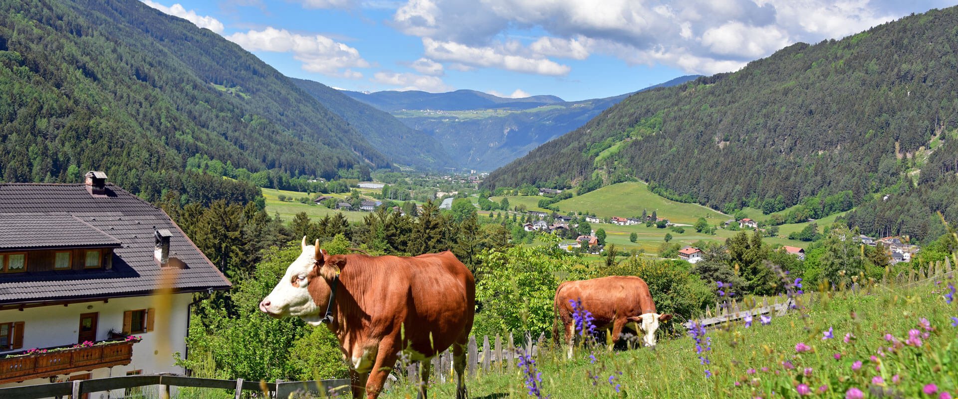 urlaub-in-st-sigmund-kiens-pustertal