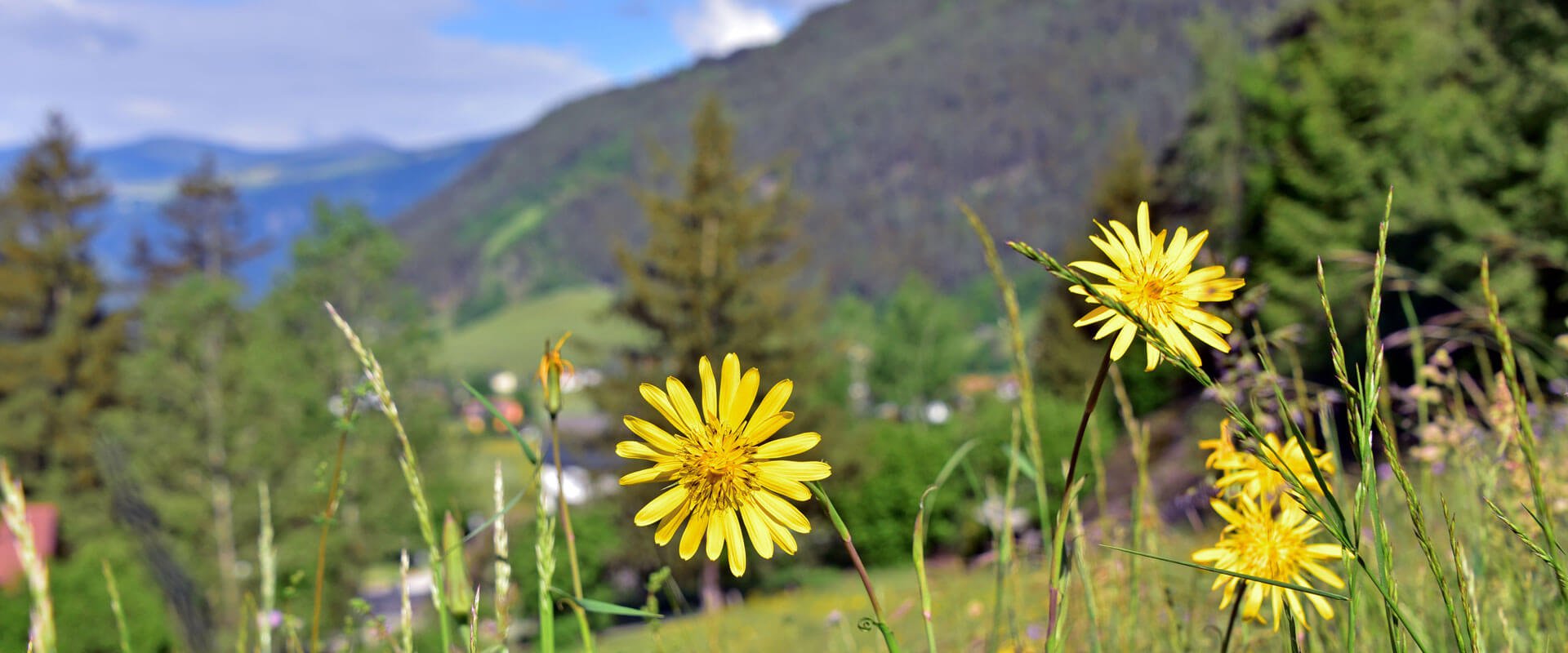 wandern-kronplatz